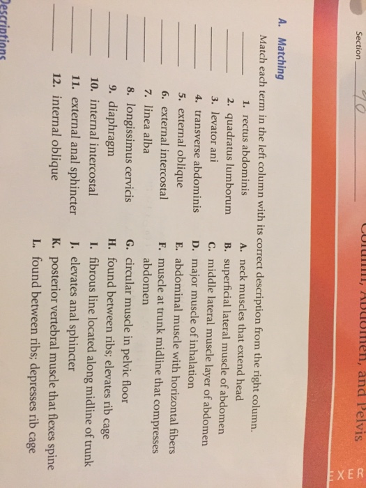 Anatomy And Physiology Archive | October 24, 2017 | Chegg.com