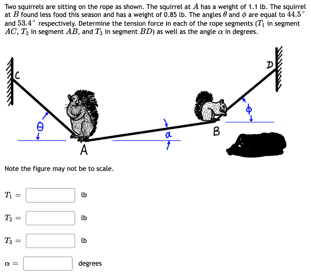 Solved Two squirrels are sitting on the rope as shown. The | Chegg.com