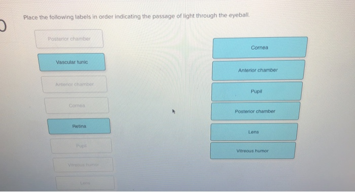 Solved Classify The Given Items With The Appropriate Group. | Chegg.com