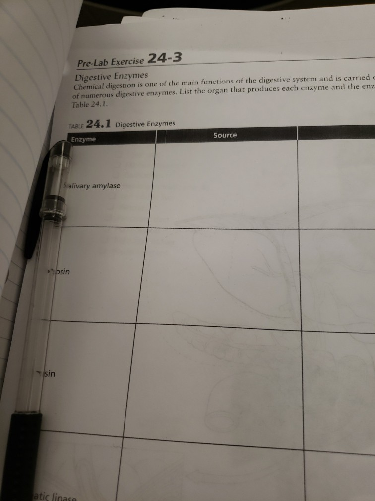 Solved PreLab Exercise 243 Digestive Enzymes Chemical