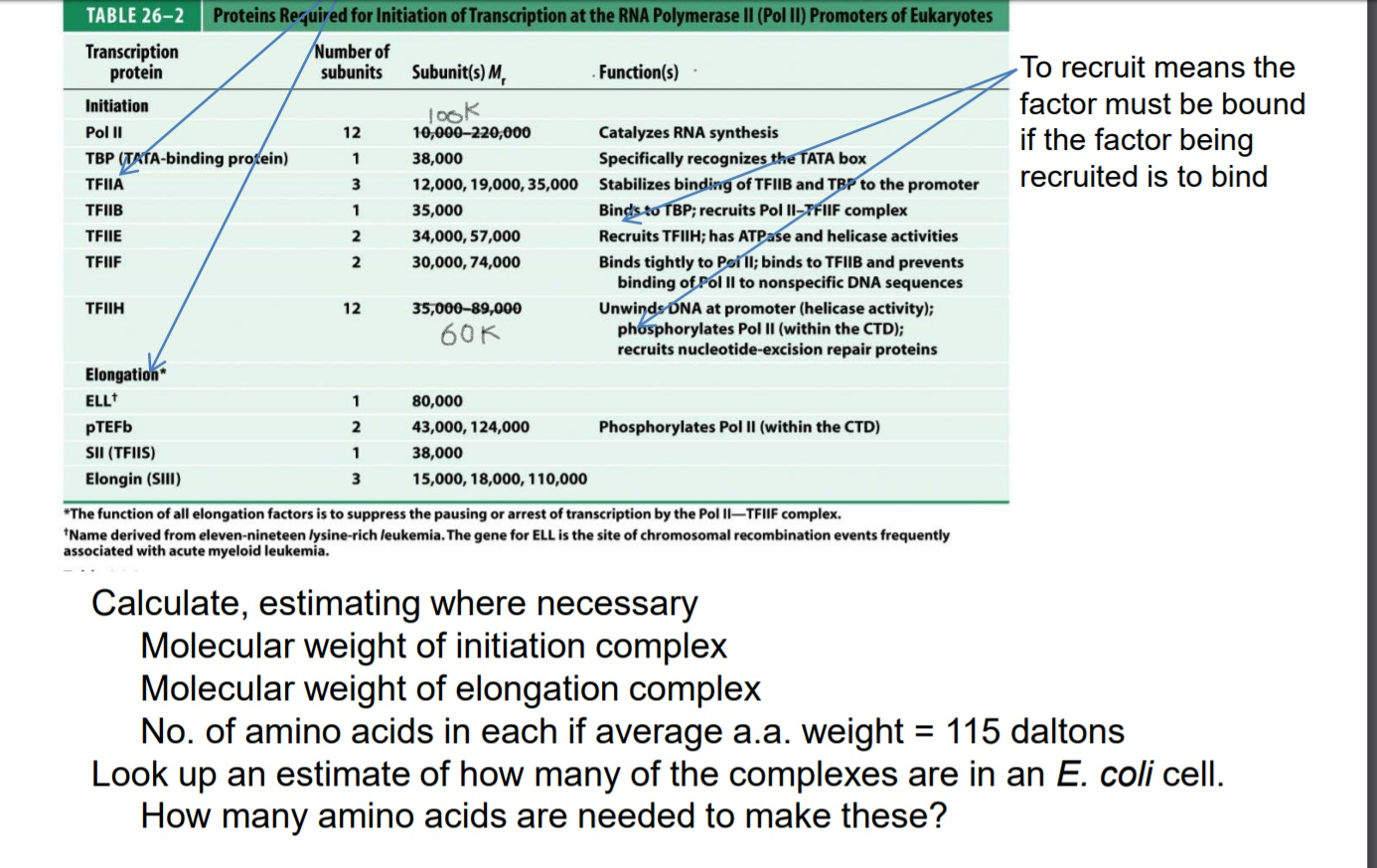 Solved TABLE 26-2 Transcription protein Proteins Required | Chegg.com