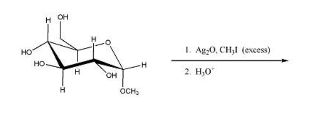 What Addition Rxn Is Rmo Used In Solved Provide the product(s) for the syntheses. Name the | Chegg.com