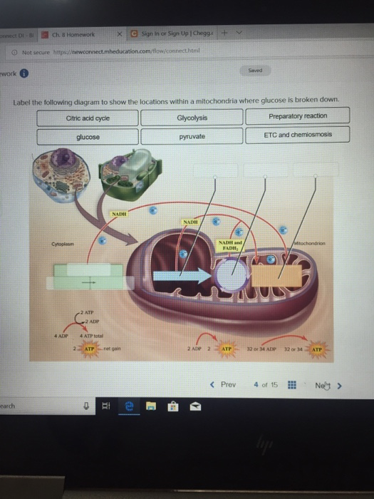 Solved ennect DI·Bl| ×IG sign in or sign Up I Cheggilt. Ch. | Chegg.com