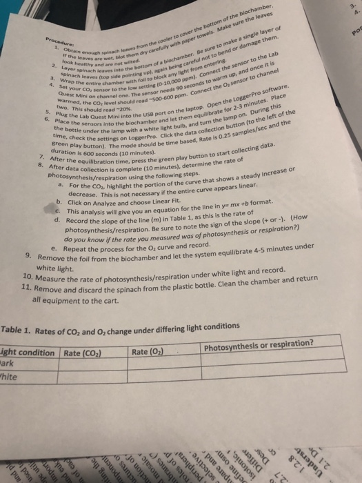 BIO 107 Lab, ace, Spring 2017 Photosynthesis