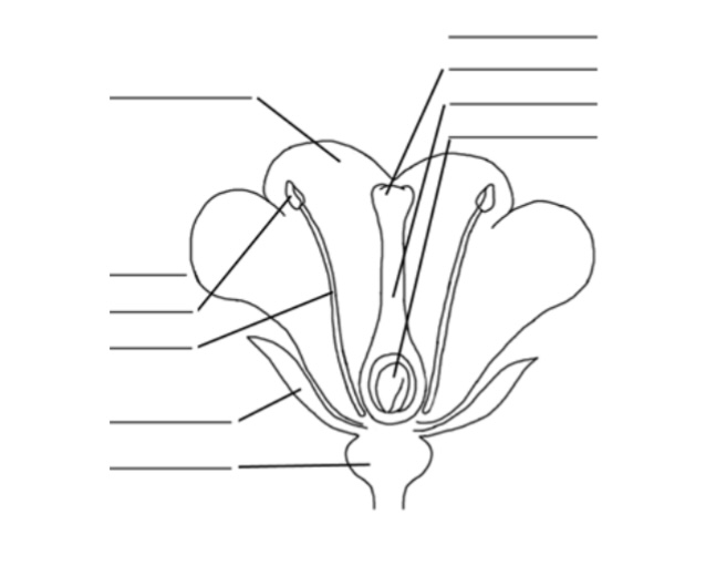 Solved Label the following diagrams: | Chegg.com