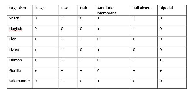 Solved Below is a chart of derived characteristics (where + | Chegg.com