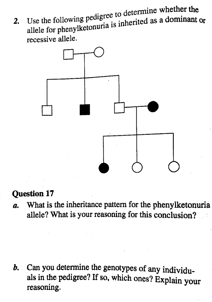 how do you know an allele is dominant