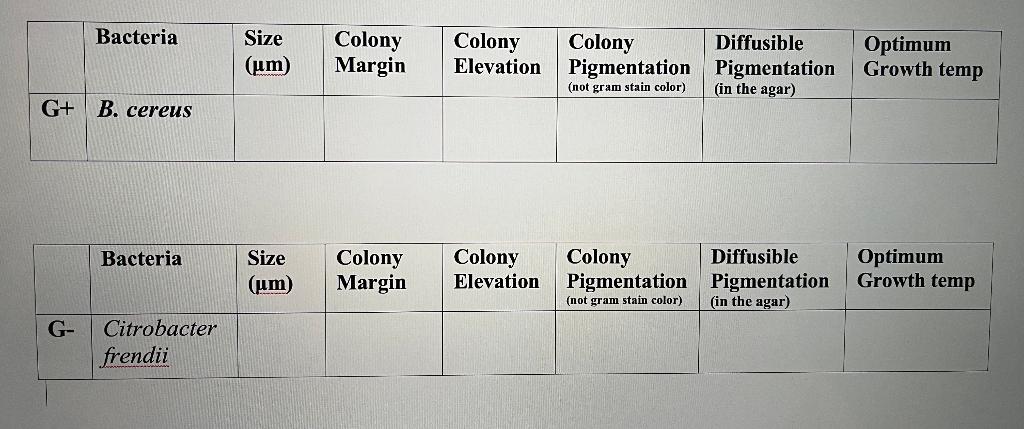 Solved Bacteria Size (um) Colony Margin Colony Elevation | Chegg.com