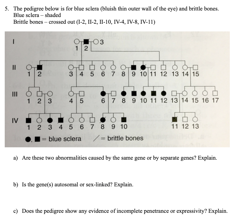 Solved The pedigree below is for blue sclera (bluish thin