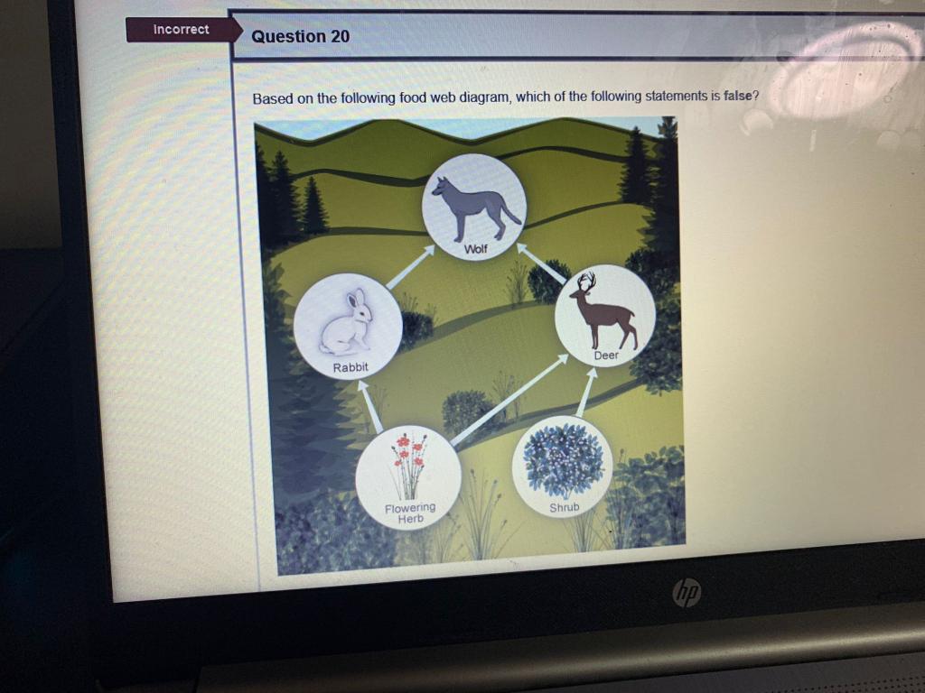 Solved Incorrect Question 20 Based on the following food web | Chegg.com