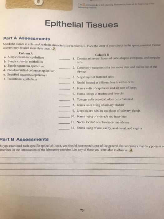 Solved Match the tissues in column A with the | Chegg.com