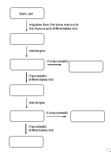 Solved Fill in the box and arrow model below by placing | Chegg.com