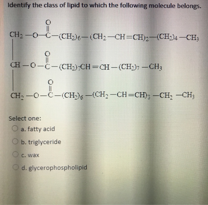 Solved Identify the class of lipid to which the following | Chegg.com