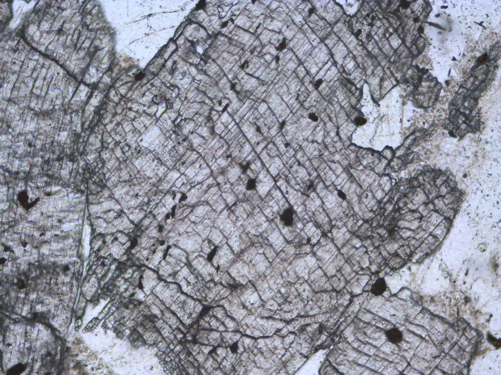 Solved Identify the main mineral in each rock (or “matrix” | Chegg.com