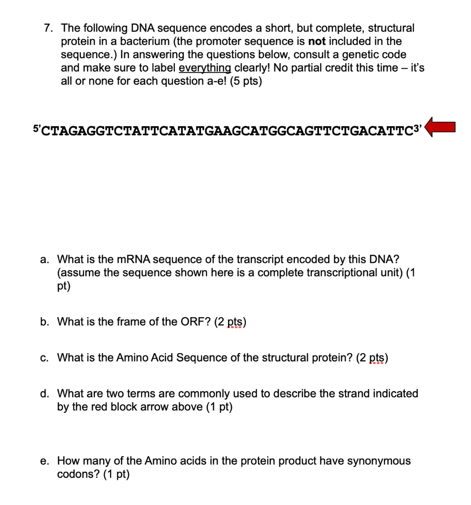 Solved 7. The following DNA sequence encodes a short, but | Chegg.com