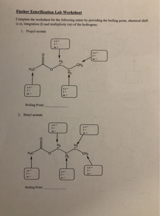 Solved Fischer Esterification Lab Worksheet Complete The 4785