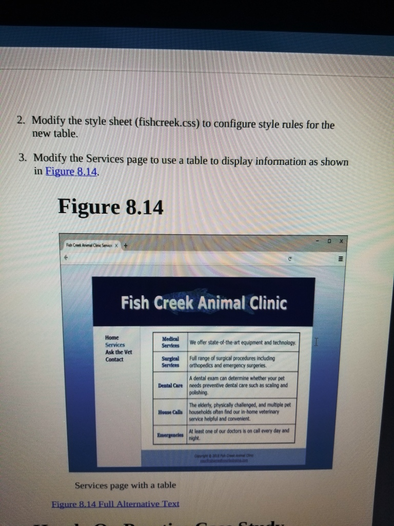 Fish Creek Animal Hospital Case Study Chapter 3 Animal West