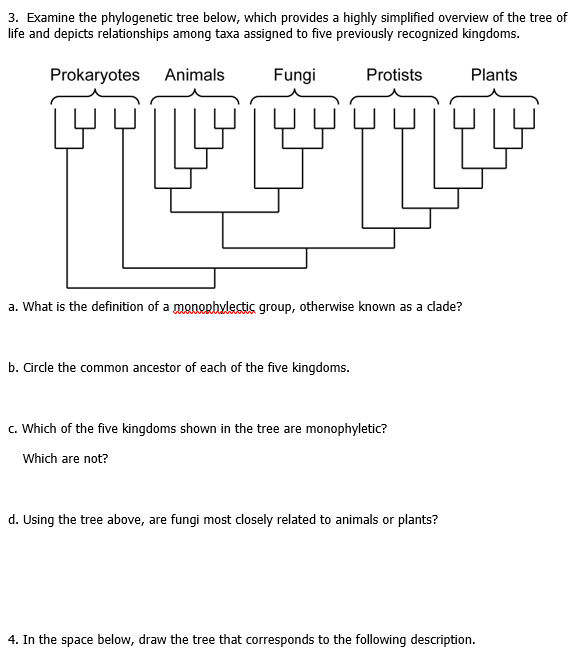 Solved 3. Examine the phylogenetic tree below, which | Chegg.com