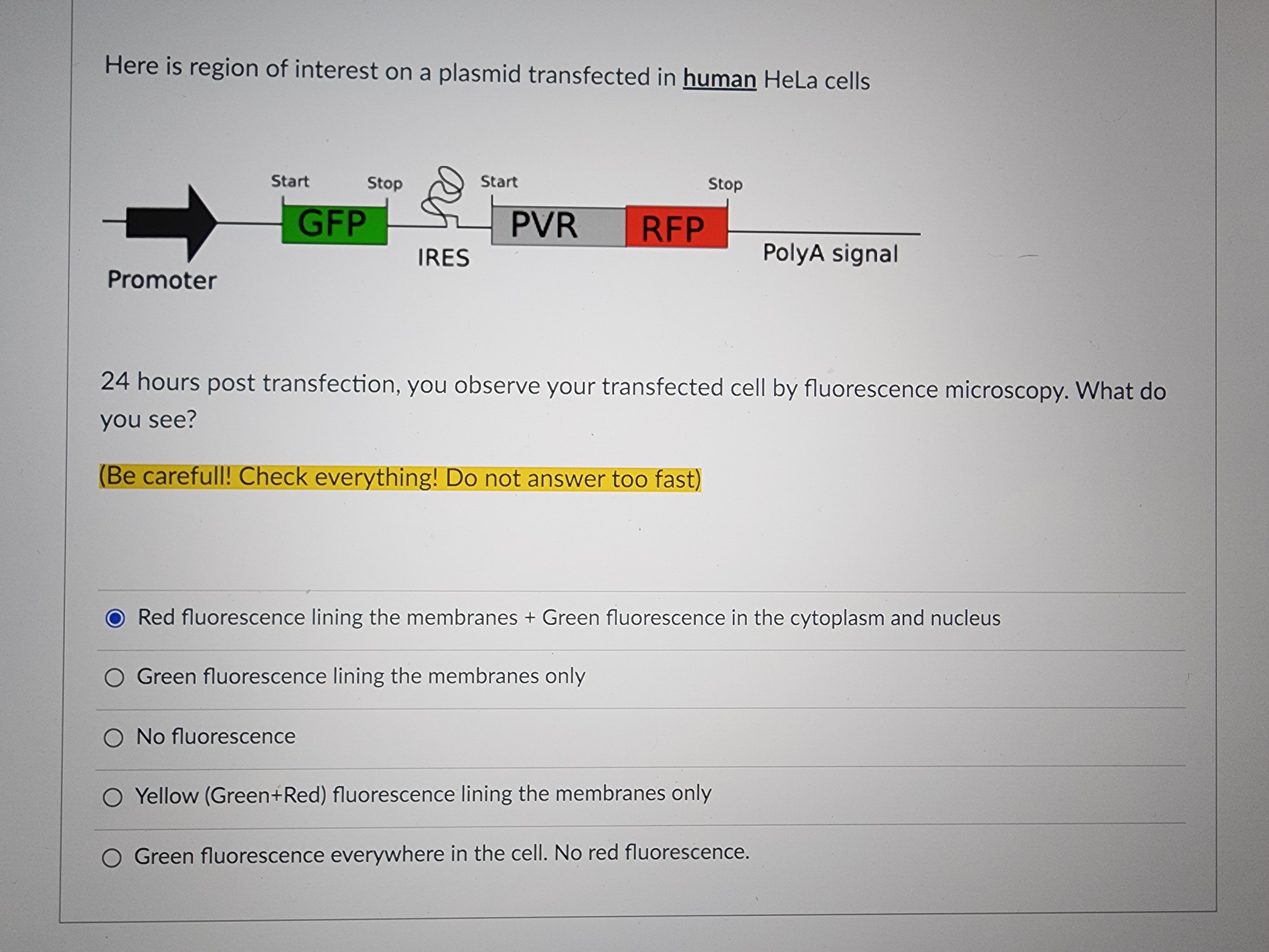 student submitted image, transcription available below