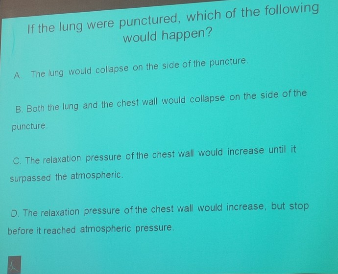 Solved If the lung were punctured, which of the following