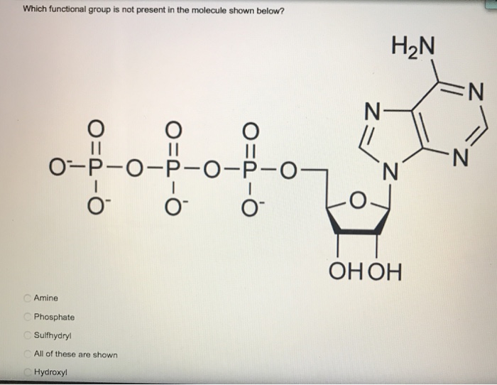 Solved The structure of the amino acid serine is shown