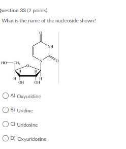 Solved Question 8 (2 points) Which base is at the 5' end of | Chegg.com