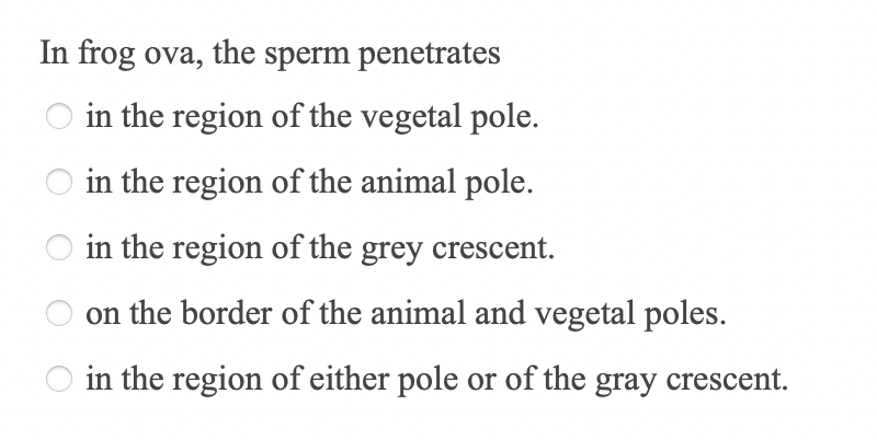 Solved In frog ova, the sperm penetrates in the region of | Chegg.com