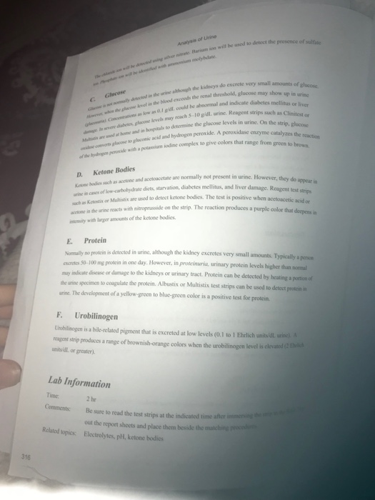 Solved I need to write a conclusion for my lab report. It | Chegg.com