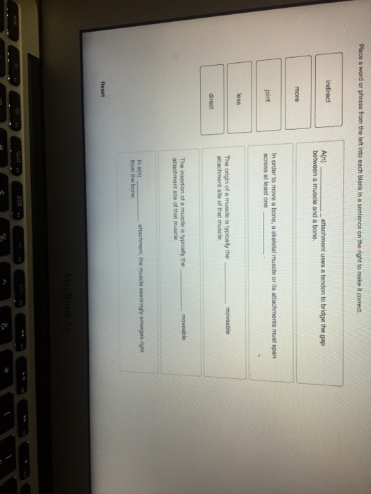 Solved Place a word or phrase from the left into each blank