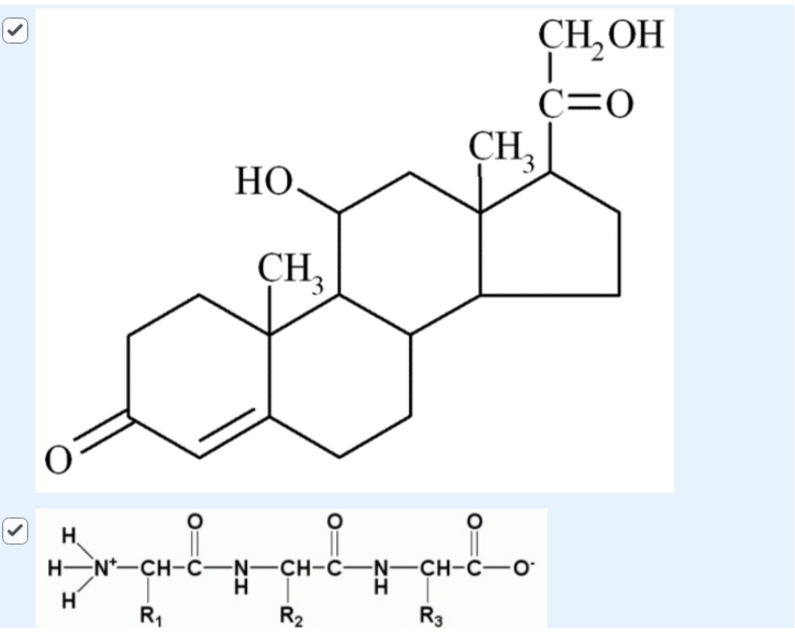 solved-which-of-the-molecules-below-is-a-polymer-composed-of-chegg