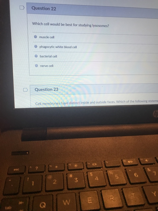 Solved Question 22 Which cell would be best for studying | Chegg.com