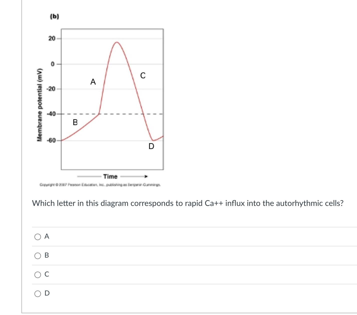 Solved Which letter in this diagram corresponds to rapid | Chegg.com