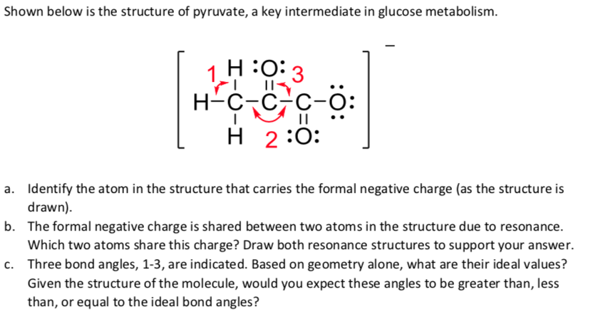 Solved Shown below is the structure of pyruvate, a key | Chegg.com