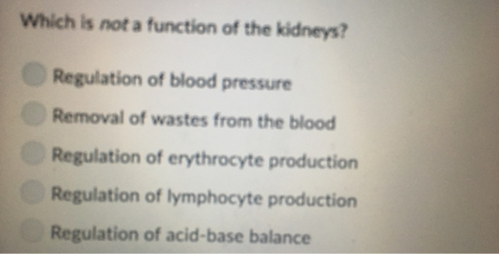 Solved which is not a function of the kidneys regulation of chegg