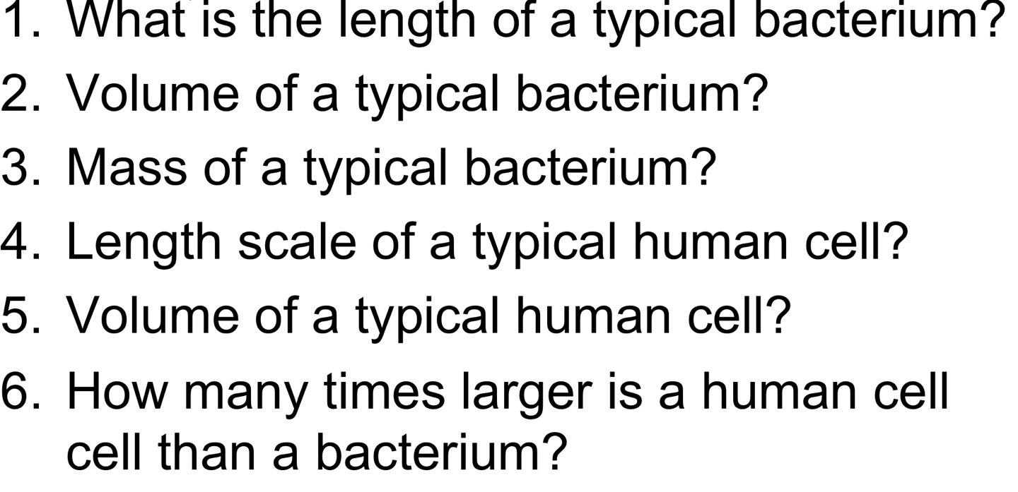 Solved 1. What is the length of a typical bacterium? 2.