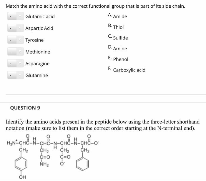 Solved Which of the following amino acids is most likely to