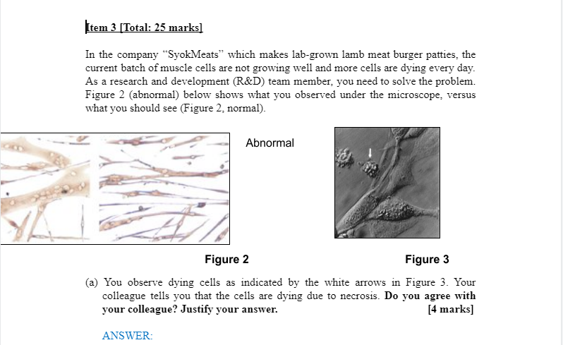 Solved Item 3 [Total: 25 marks] In the company “SyokMeats” | Chegg.com