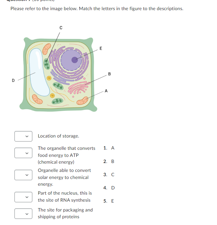 Solved Please refer to the image below. Match the letters in | Chegg.com