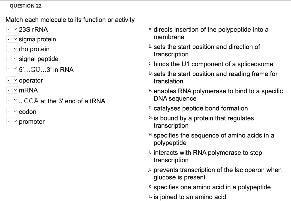 Solved QUESTION 22 Match each molecule to its function or | Chegg.com