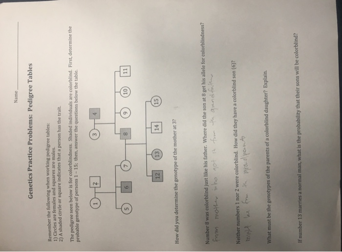 Solved Name Genetics Practice Problems Pedigree Tables Chegg