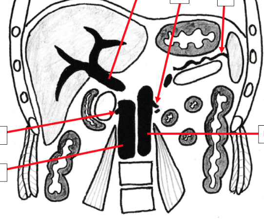 Solved A) B) Consider The Diagrams In Diagram A And B | Chegg.com