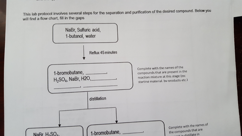 Solved This lab protocol involves several steps for the | Chegg.com