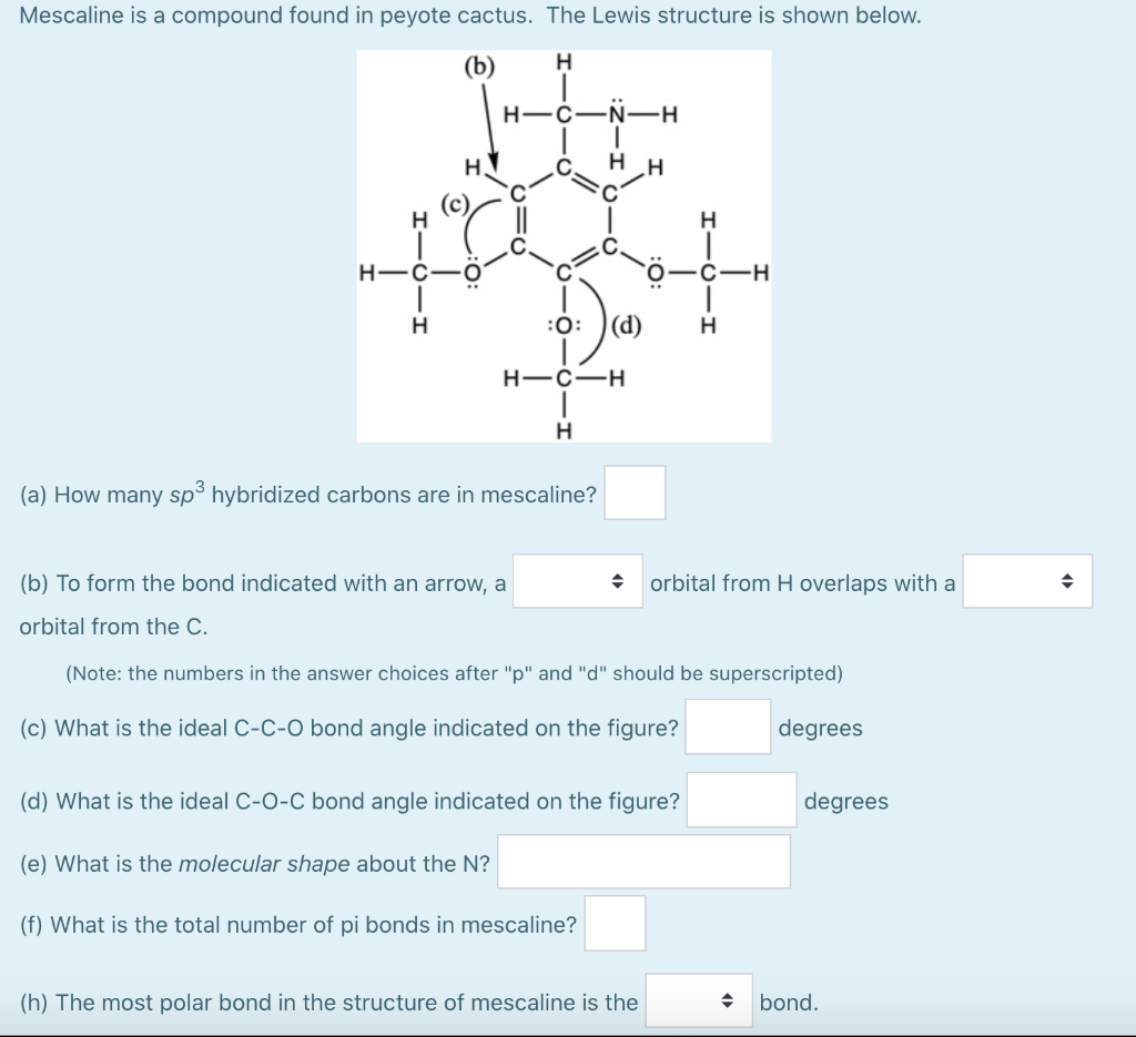 Solved Mescaline Is A Compound Found In Peyote Cactus Th Chegg Com