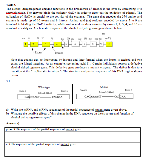 Solved Task 3. The alcohol dehydrogenase enzyme functions in