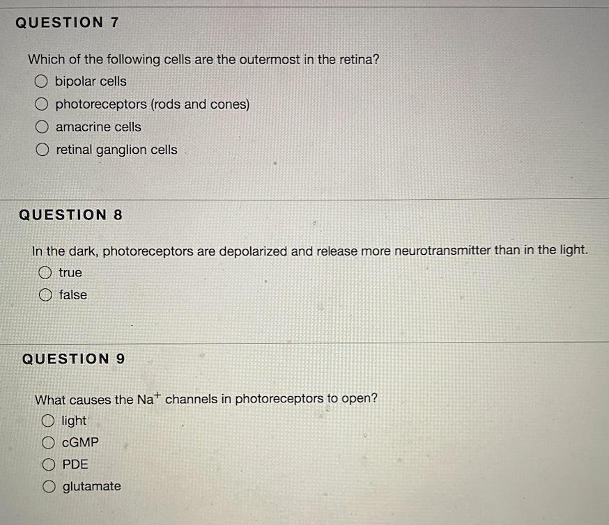 Solved QUESTION 3 What is the innermost tunic of the eye? | Chegg.com