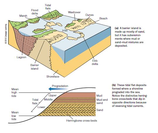 Solved Use the images below to explain why prograding deltas | Chegg.com