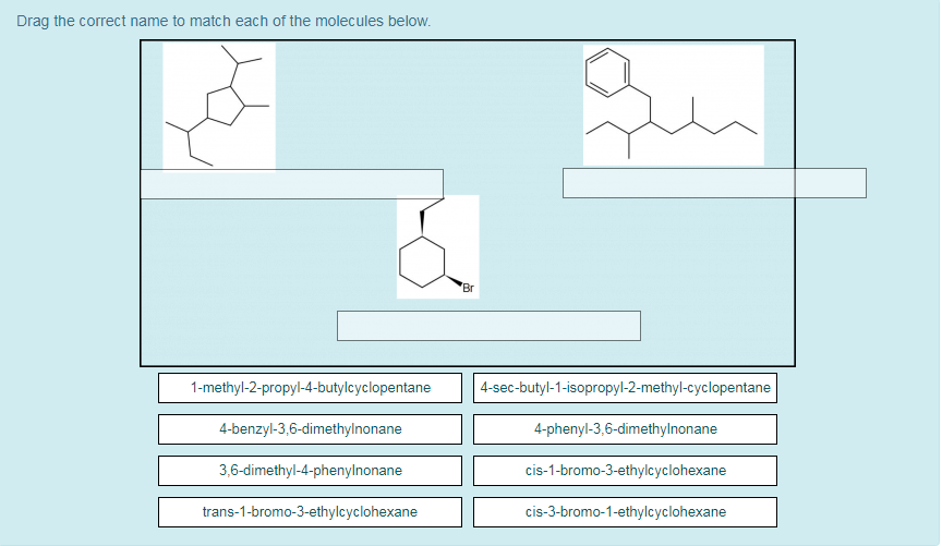 Solved Drag the correct name to match each of the molecules | Chegg.com