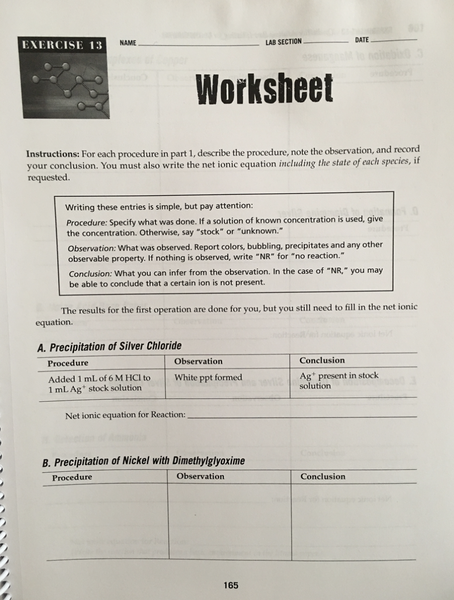 NAME EXERCISE 29 DATE LAB SECTION Worksheet  Chegg.com