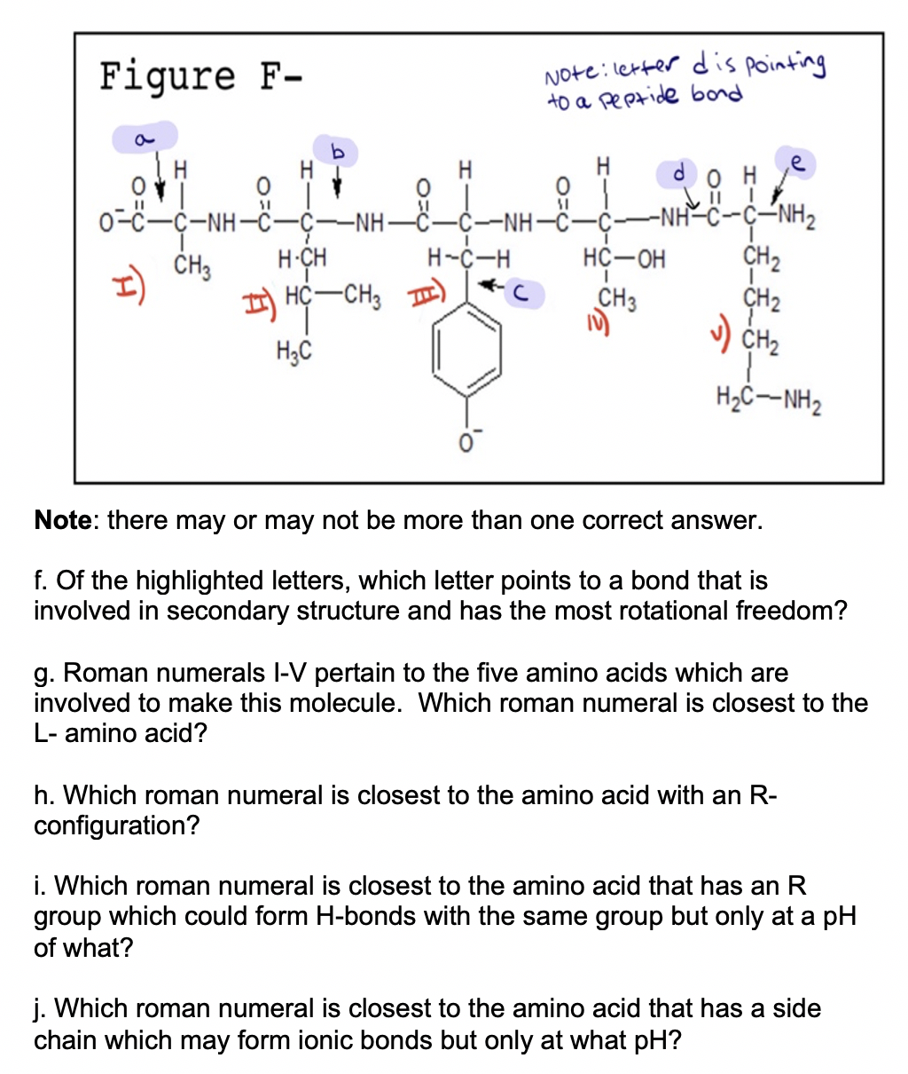 Solved Figure F Note Letter Dis Pointing To A Peptide B Chegg Com
