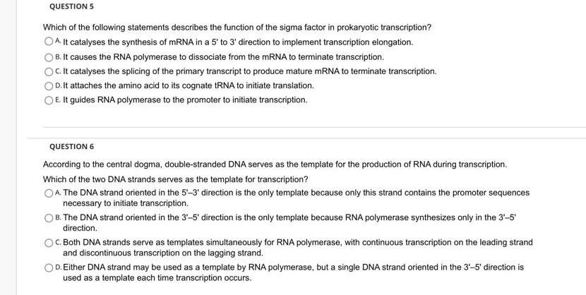 Solved Question 4 Determine Possible Amino Acid Sequences 